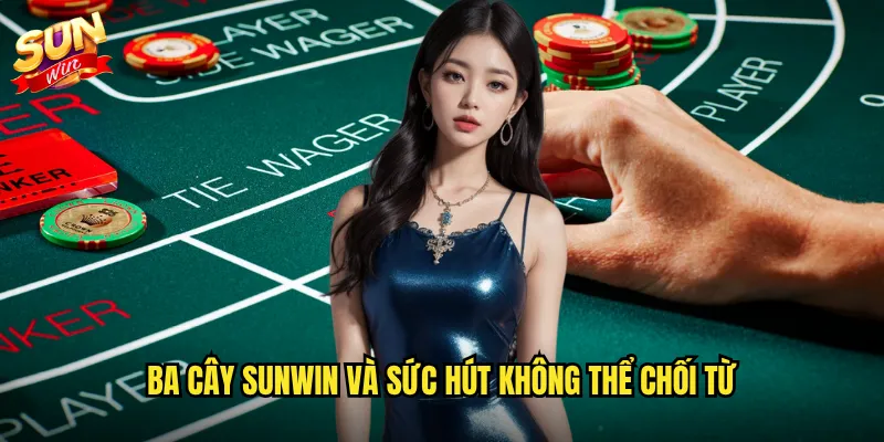 Ba cây Sunwin và sức hút không thể chối từ